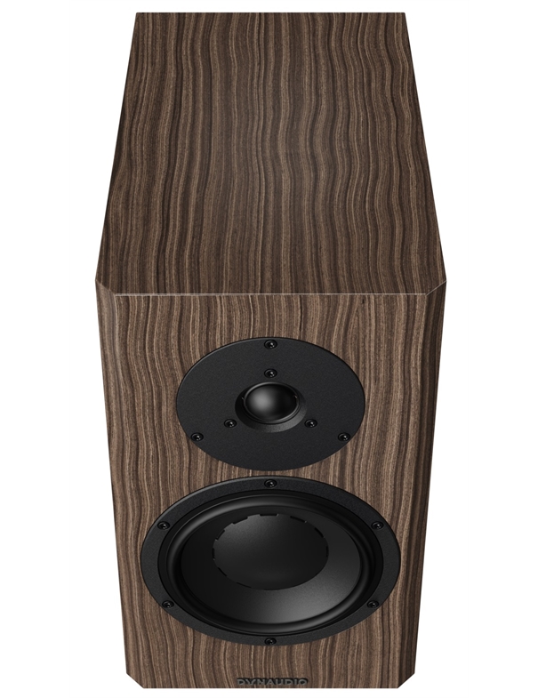 Loa Dynaudio Classic Special Forty